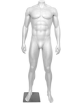 Male Athletic Mannequin, Headless FIT-M7