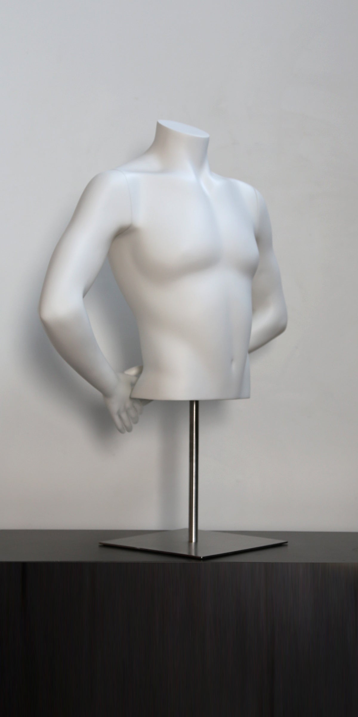 Male Torso, Half Form, Fashion, Headless, Hands Behind Back